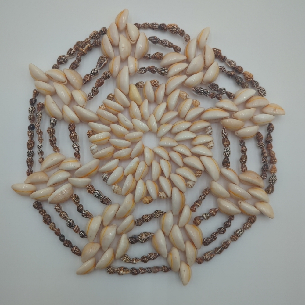 Vintage Sea Shell Trivet Hot Pad Cowrie 8" Wall Art Seashell Boho